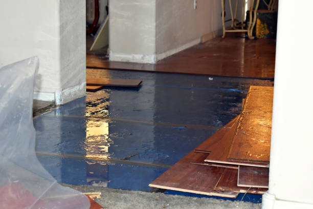 Professional Water Extraction technician working in Gowen, MI